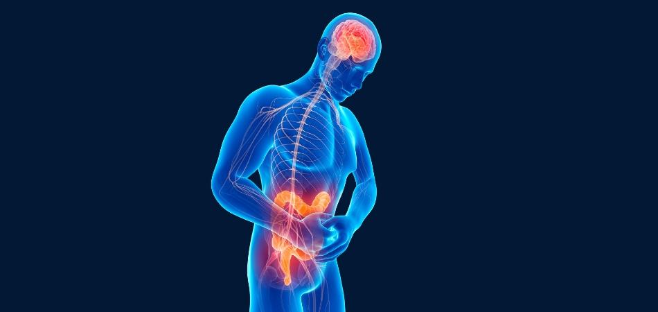The gut-brain axis: the interconnection between body and mind